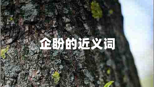 企盼的近义词