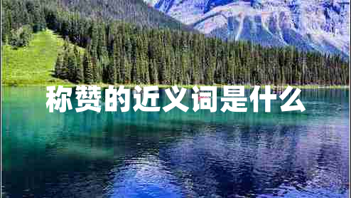 称赞的近义词是什么