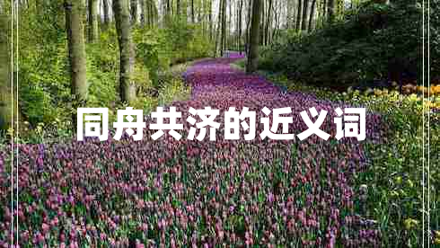 同舟共济的近义词