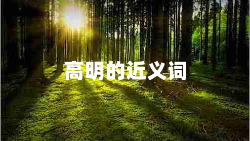 高明的近义词