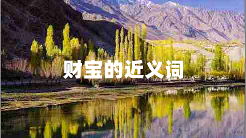 财宝的近义词