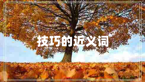 技巧的近义词
