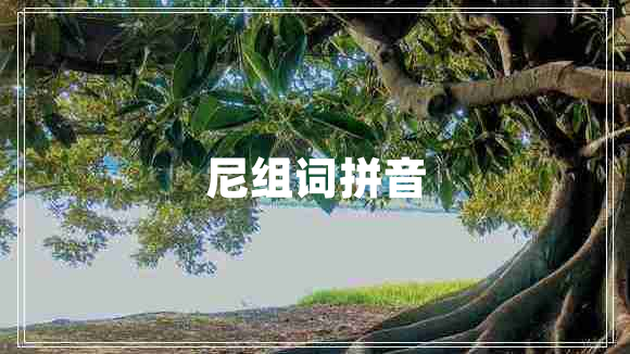 尼组词拼音
