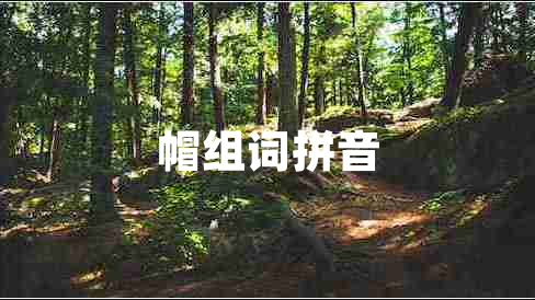 帽组词拼音