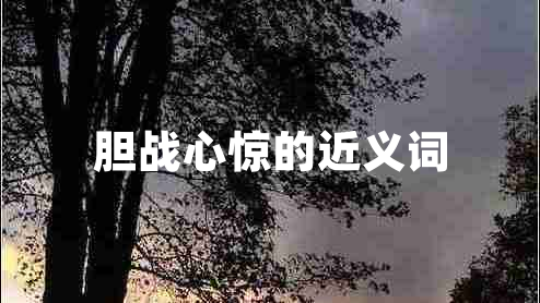 胆战心惊的近义词