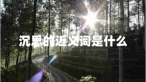 沉思的近义词是什么