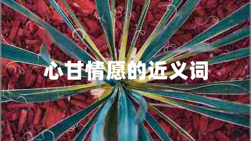 心甘情愿的近义词