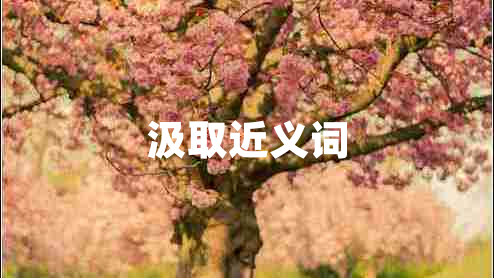 汲取近义词