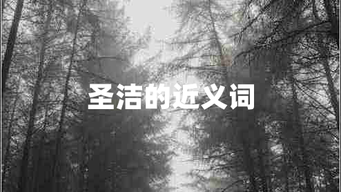 圣洁的近义词