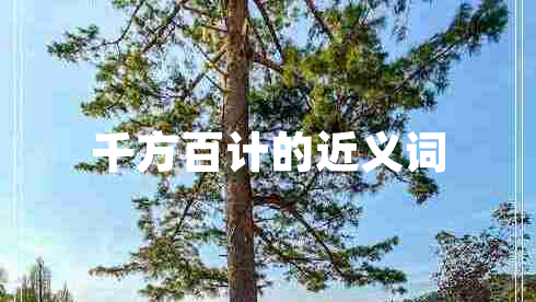 千方百计的近义词