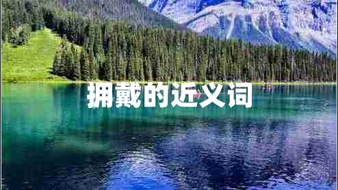 拥戴的近义词