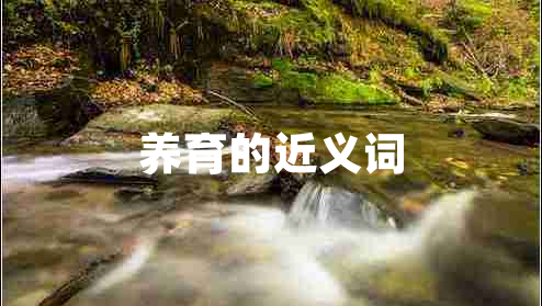 养育的近义词