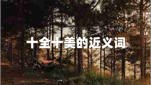十全十美的近义词