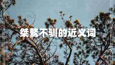桀骜不驯的近义词