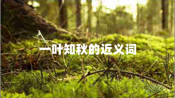 一叶知秋的近义词