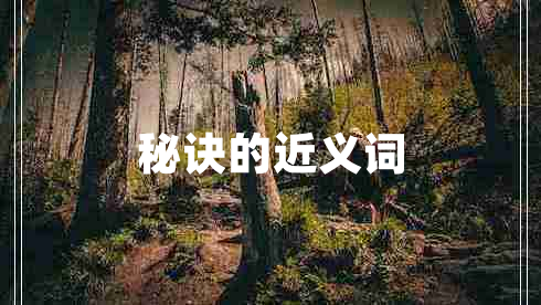 秘诀的近义词