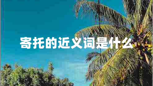 寄托的近义词是什么