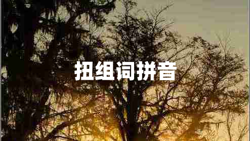 扭组词拼音
