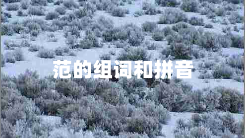 范的组词和拼音