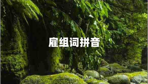 雇组词拼音