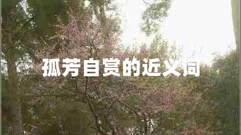 孤芳自赏的近义词