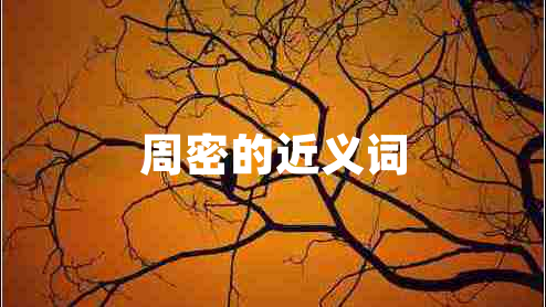 周密的近义词