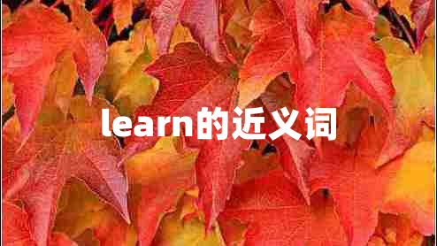 learn的近义词