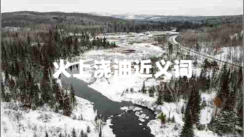 火上浇油近义词