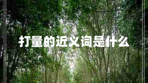 打量的近义词是什么
