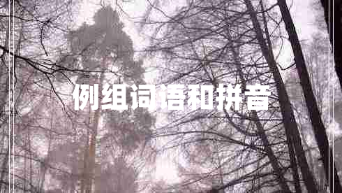 例组词语和拼音