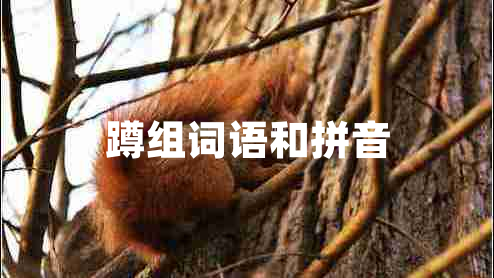 蹲组词语和拼音