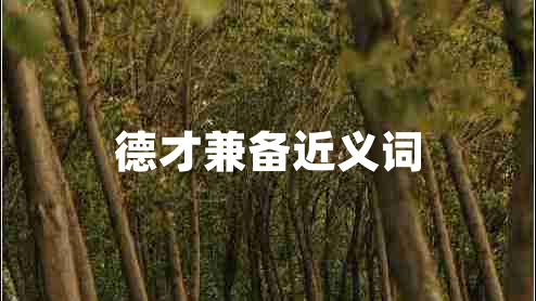 德才兼备近义词