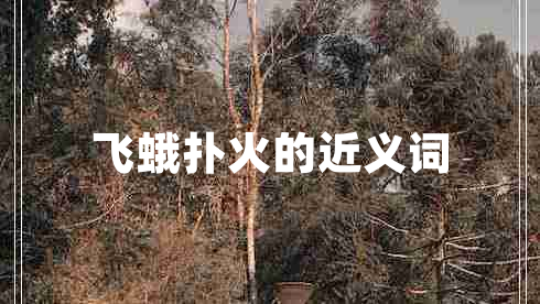 飞蛾扑火的近义词