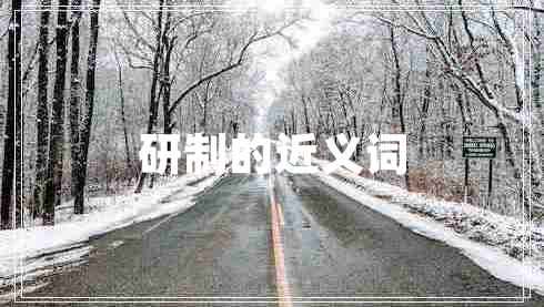 研制的近义词