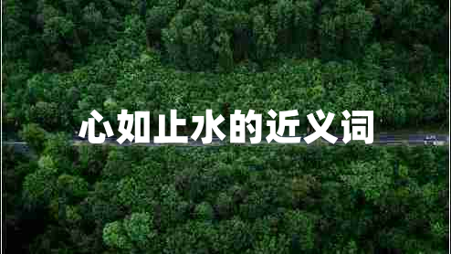 心如止水的近义词