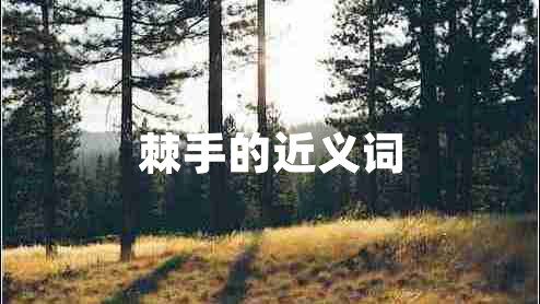 棘手的近义词