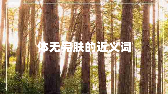 体无完肤的近义词