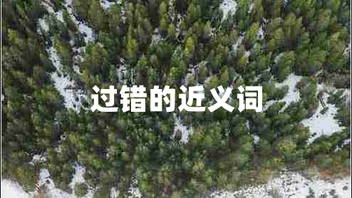 过错的近义词