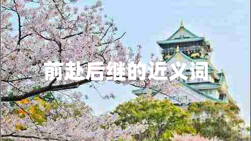 前赴后继的近义词