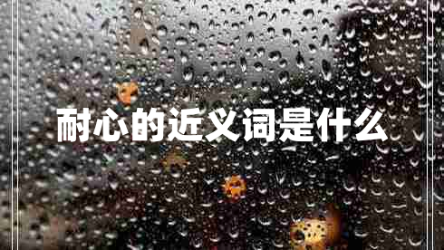 耐心的近义词是什么