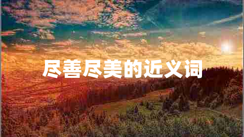 尽善尽美的近义词