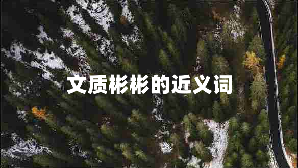 文质彬彬的近义词