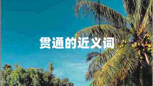 贯通的近义词