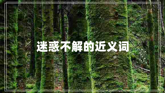 迷惑不解的近义词