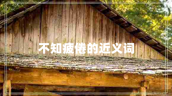 不知疲倦的近义词