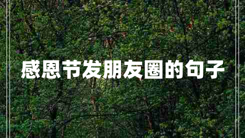 感恩节发朋友圈的句子
