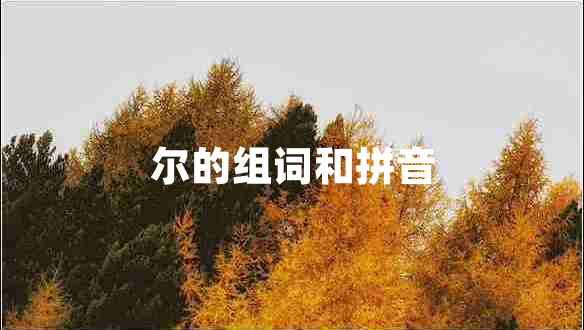 尔的组词和拼音