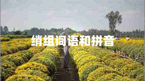 绡组词语和拼音