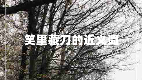 笑里藏刀的近义词