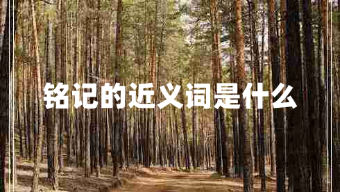 铭记的近义词是什么